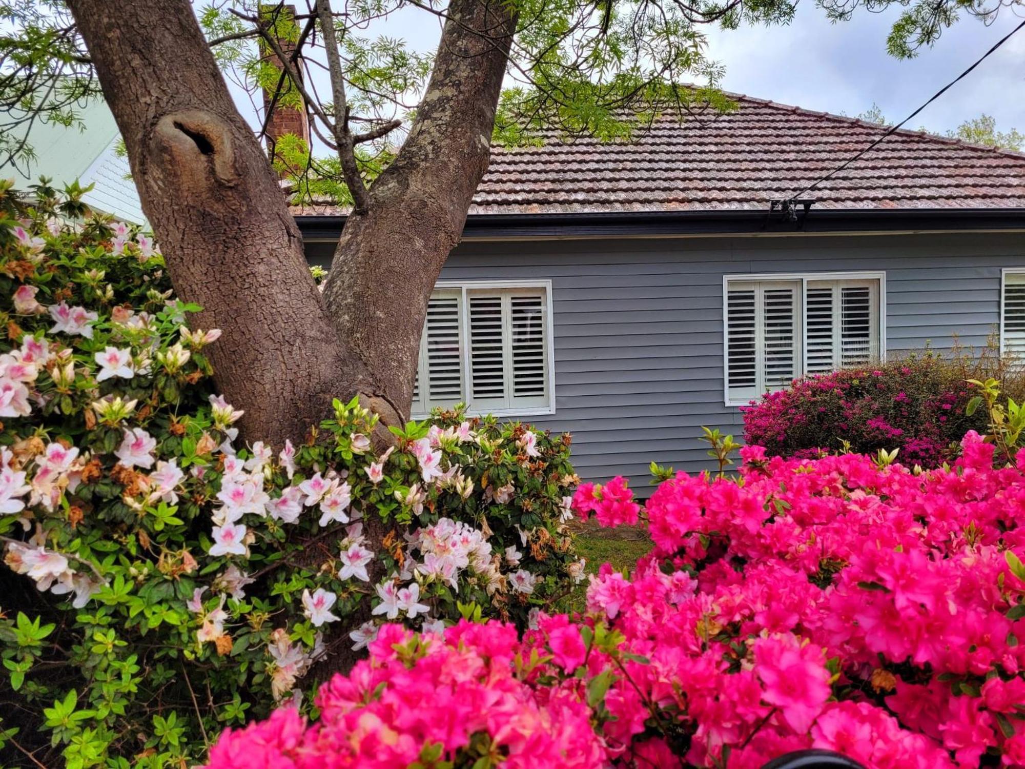 La Villette Sleeps 9 Fireplace Bbq Pet Friendly Katoomba Exteriör bild